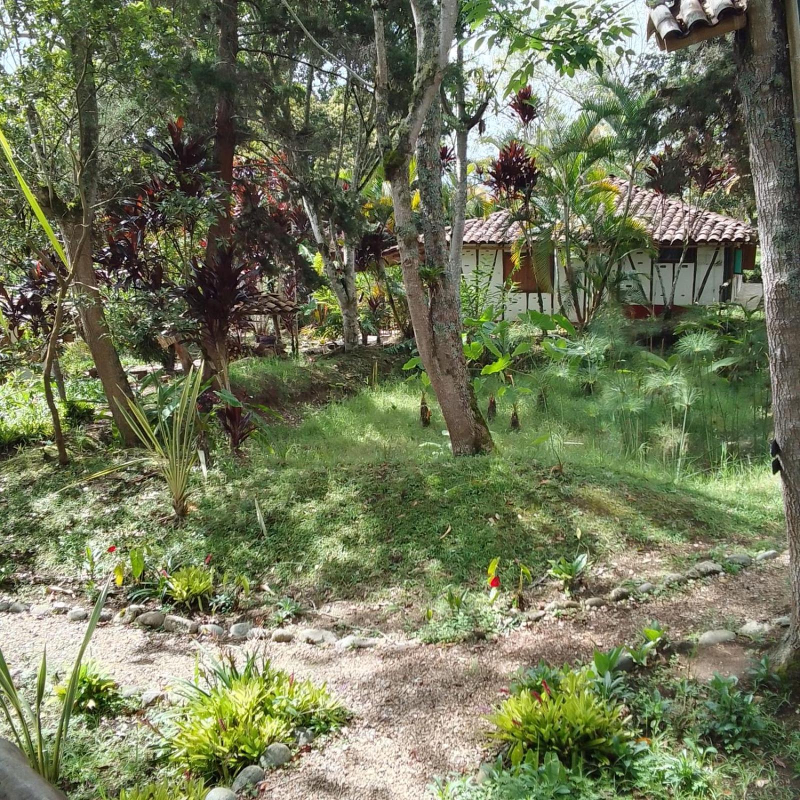 Hotel La Casa De Francois San Agustín Екстериор снимка